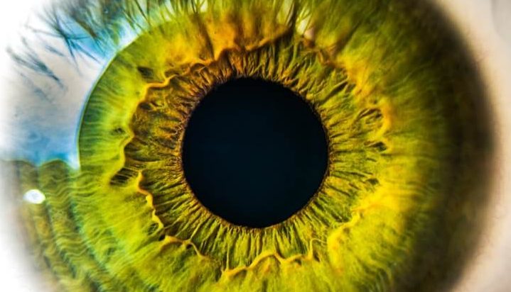 Top seven Myths About Eyes and Vision