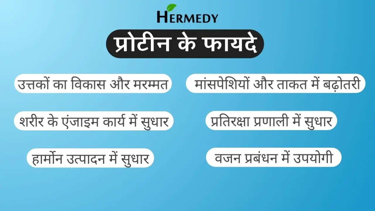 प्रोटीन के फायदे Hermedy