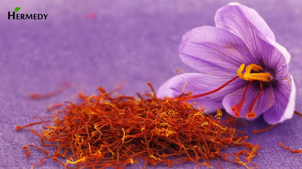 केसर के फायदे | Health Benefits of Saffron