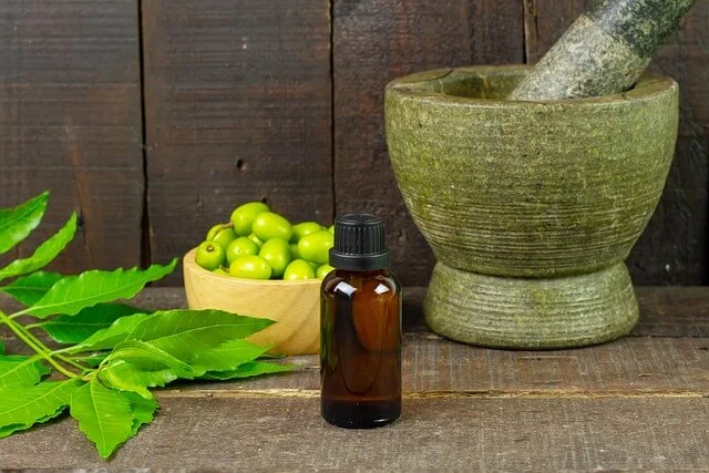Ayurveda