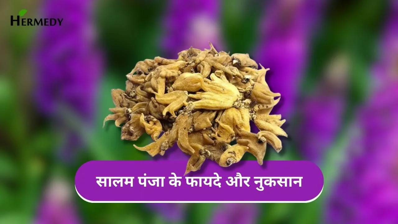 सालम पंजा के फायदे और नुकसान